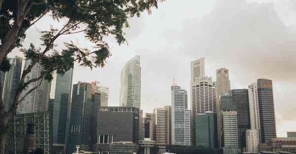 消防大数据分析