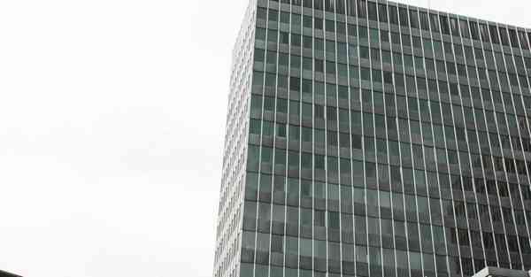 外国语单招大数据的行业文章