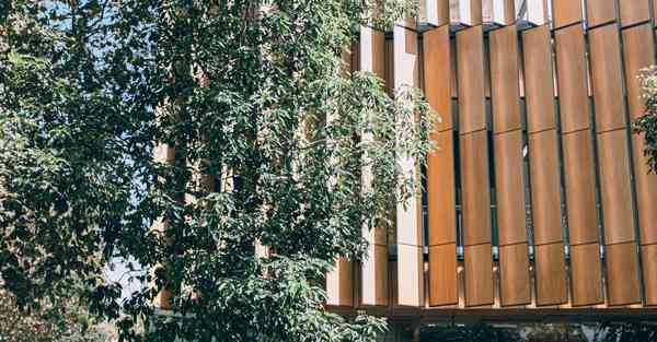 外国语单招大数据的行业文章