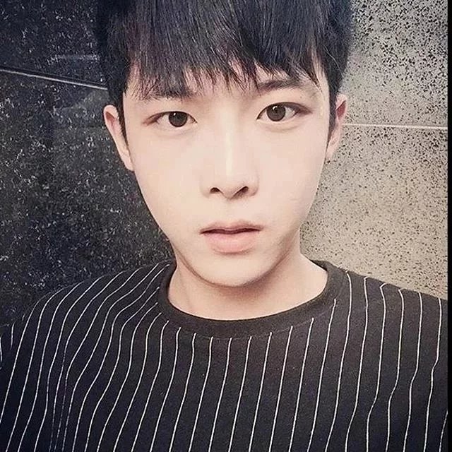 邰萱菊波