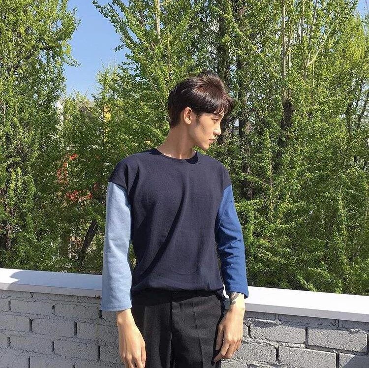 淳于峰秀昭