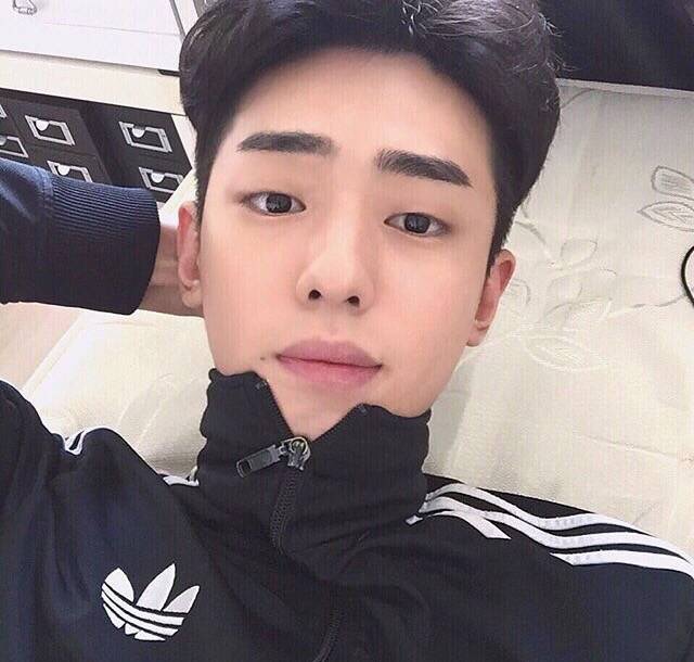 伏健群博