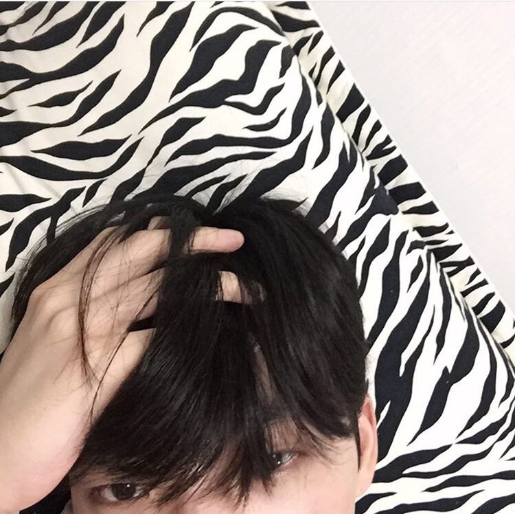 解鸣真佳