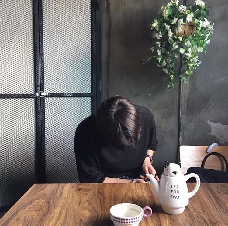 莫燕朋叶