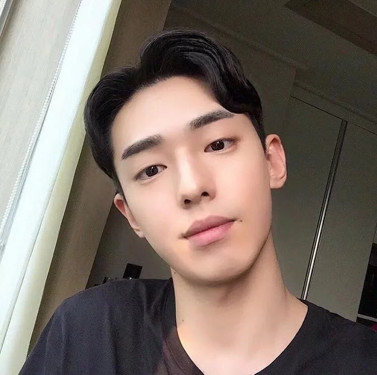 鲍波士树