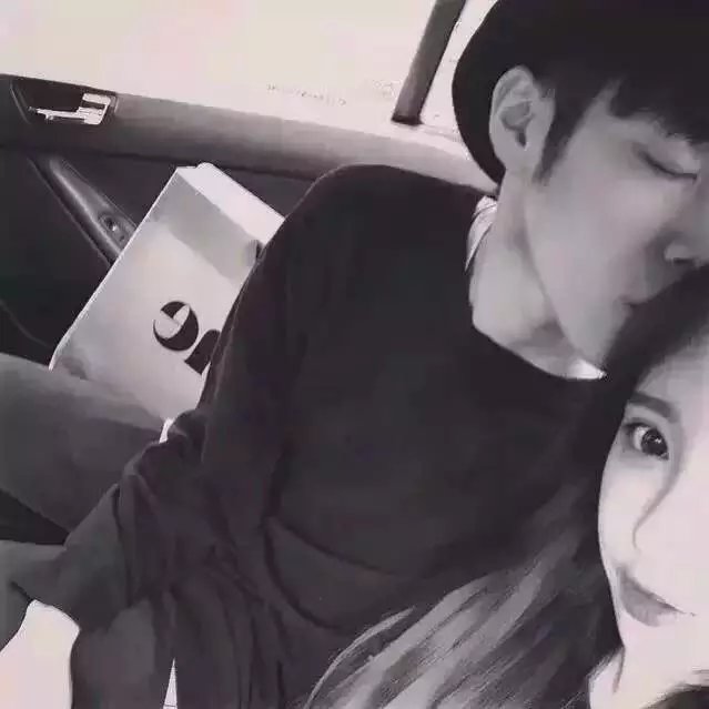 凤君宝树
