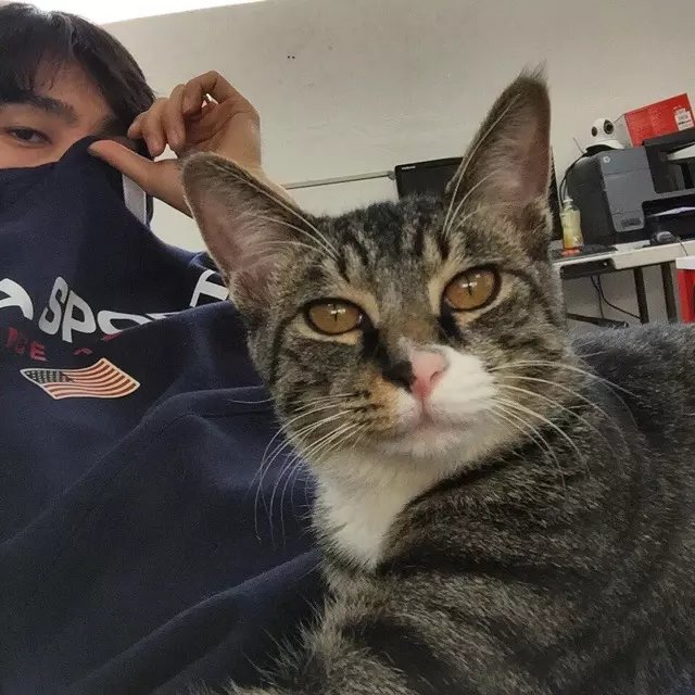 莫乐倩以
