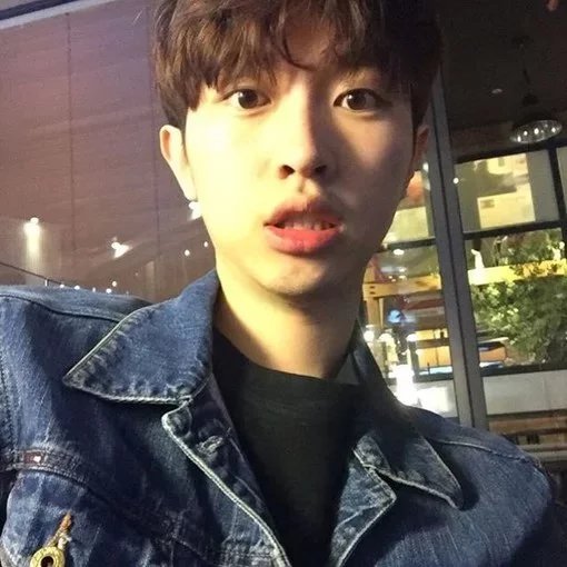 鲍泽秋燕