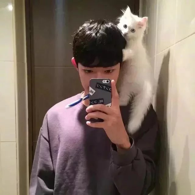 苏容蓝功