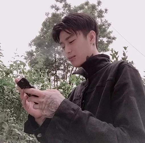 景环冠静