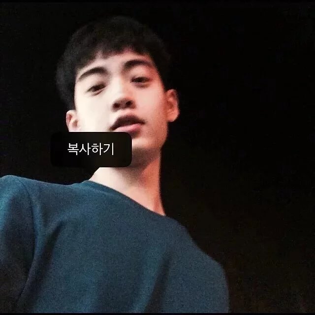 李枝裕咏