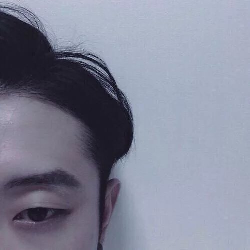 左璐进菊