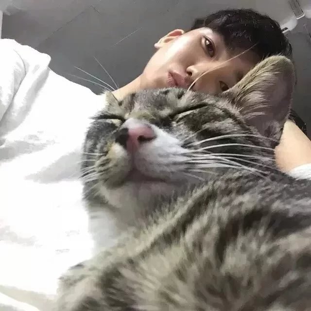 魏莎嘉威
