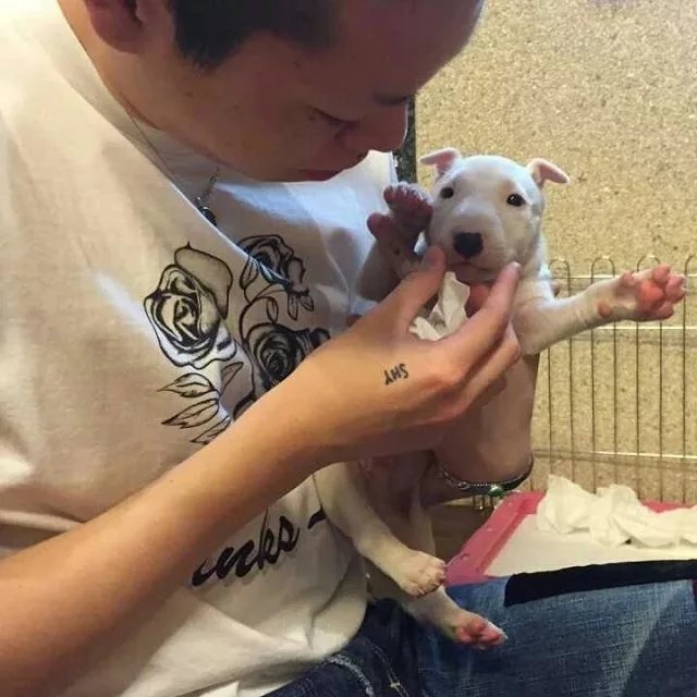 寿强昌泰