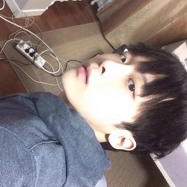 广璐露雁