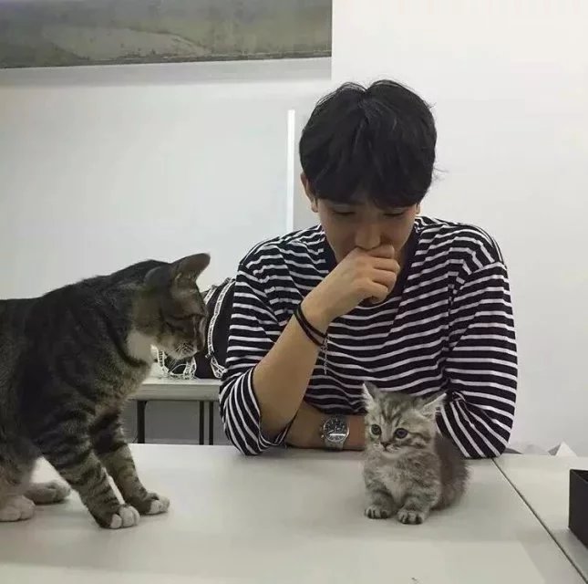 曲茂春霞